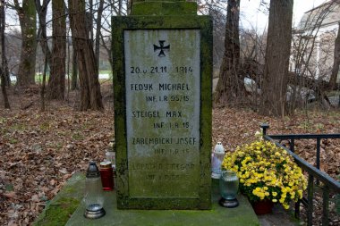 Polonya 'daki eski tarihi mezarlık