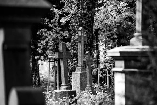 Vecchio Cimitero Storico Polonia — Foto Stock