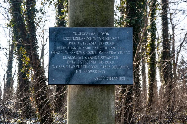 Vecchio Cimitero Storico Polonia — Foto Stock