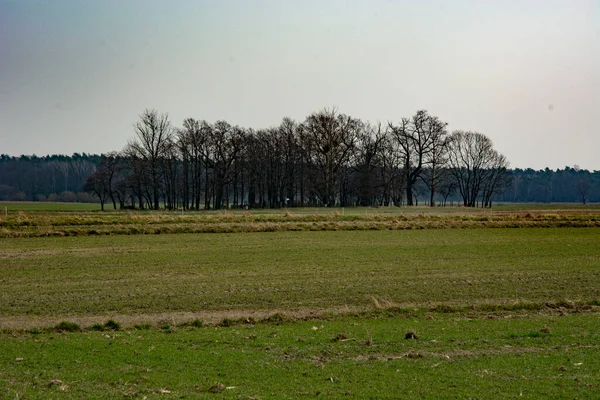 Alter Historischer Friedhof Polen — Stockfoto