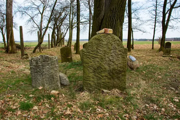 波兰古老的历史墓地 — 图库照片