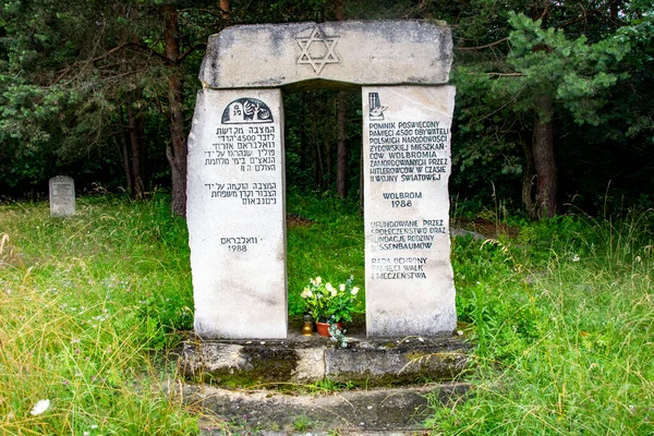 Старе Історичне Кладовище Польщі — стокове фото