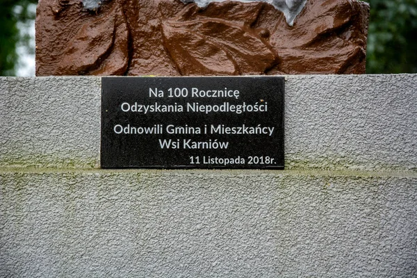 Ancien Cimetière Historique Pologne — Photo
