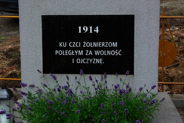 Ancien Cimetière Historique Pologne — Photo
