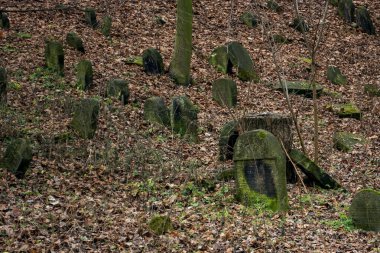 Polonya 'daki eski tarihi mezarlık