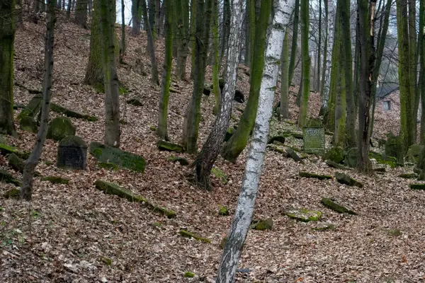 Old Historic Cemetery Poland — Fotografia de Stock