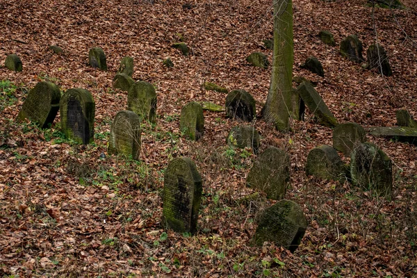 Antiguo Cementerio Histórico Polonia —  Fotos de Stock