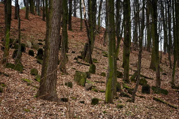 Alter Historischer Friedhof Polen — Stockfoto