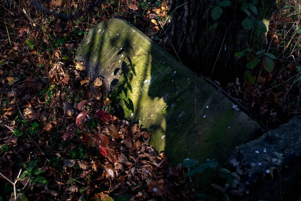 Old Historic Cemetery Poland — Fotografia de Stock