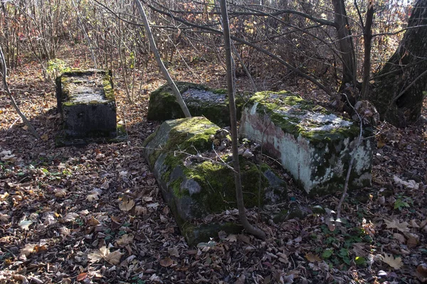 Alter Historischer Friedhof Polen — Stockfoto