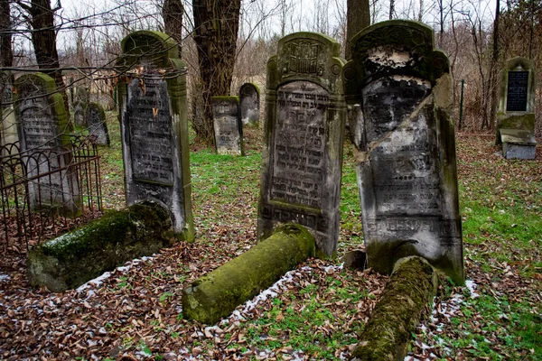 Polonya Daki Eski Tarihi Mezarlık — Stok fotoğraf