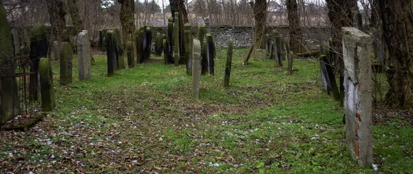 Ancien Cimetière Historique Pologne — Photo