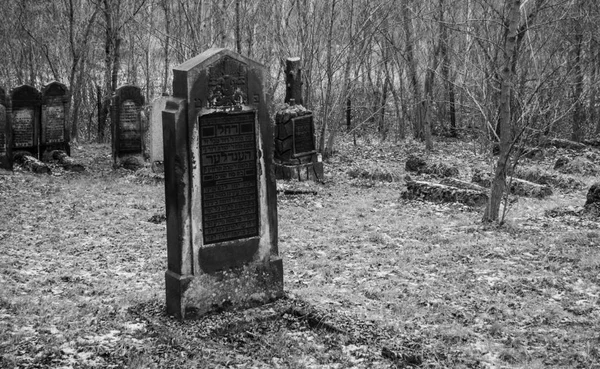 Antiguo Cementerio Histórico Polonia — Foto de Stock