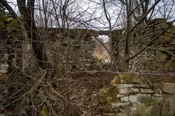 Alter Historischer Friedhof Polen — Stockfoto