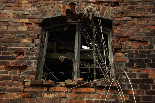 Bieczyce谷物磨坊的废墟 — 图库照片