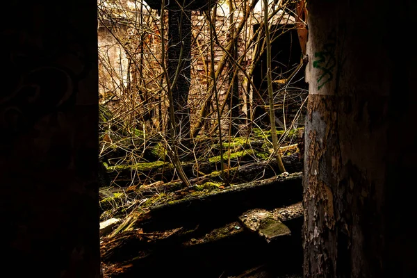 Bieczyce谷物磨坊的废墟 — 图库照片