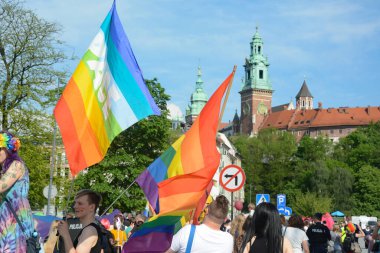 Krakow 'da LGBT yürüyüşü