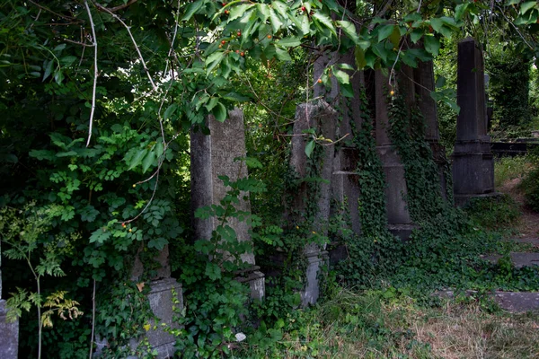 Jüdischer Friedhof Der Slowakei — Stockfoto