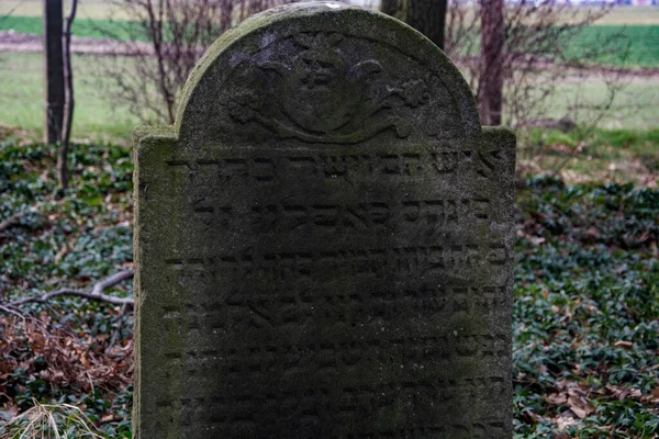 Jüdischer Friedhof Der Slowakei — Stockfoto