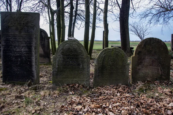 Jüdischer Friedhof Der Slowakei — Stockfoto