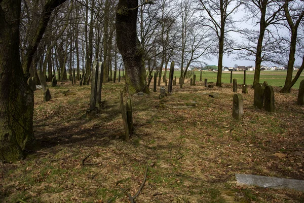 Jüdischer Friedhof Der Slowakei — Stockfoto