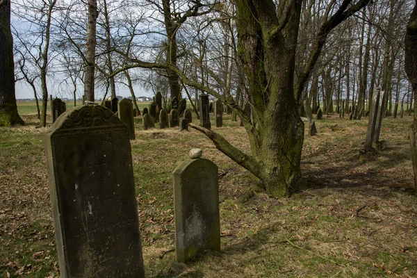 Cementerio Judío Eslovaquia —  Fotos de Stock