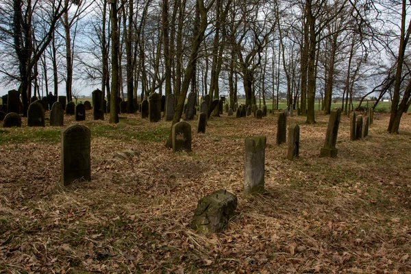Jewish Cemetery Slovakia — Stock Photo, Image
