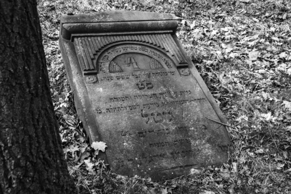 Cementerio Judío Eslovaquia —  Fotos de Stock