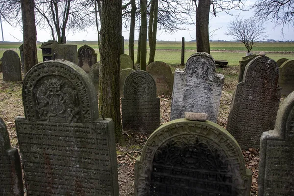Εβραϊκό Νεκροταφείο Στη Σλοβακία — Φωτογραφία Αρχείου
