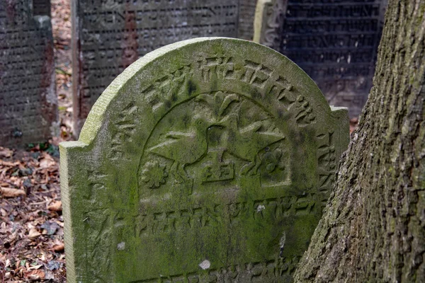 Cementerio Judío Eslovaquia —  Fotos de Stock