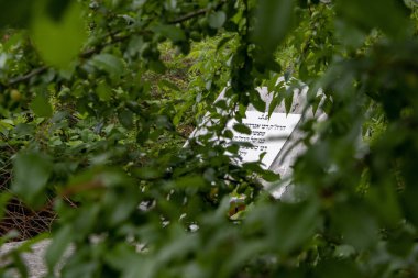 Biaa Rawska 'daki Yahudi mezarlığı