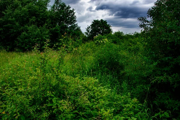 Jüdischer Friedhof Biaa Rawska — Stockfoto