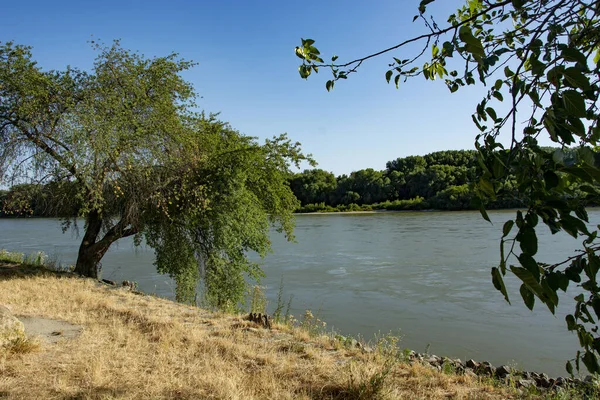 Burgruine Der Slowakei Der Donau — Stockfoto