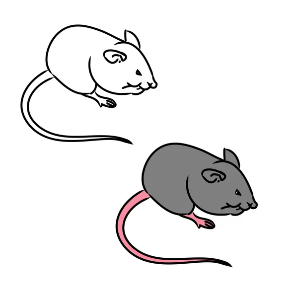 Rat, mouse - sketch, the drawing in color — Stock Vector