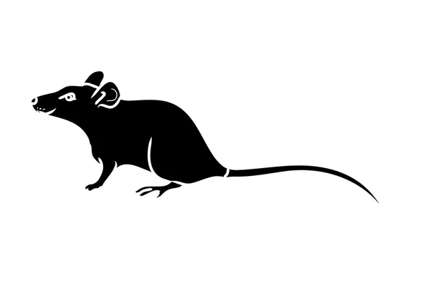 Potkan, myš - černá silueta 0 — Stockový vektor
