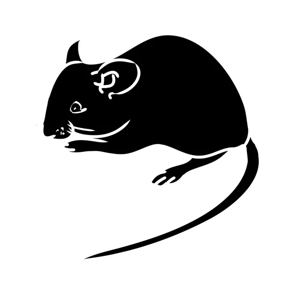 Potkan, myš - černá silueta 1 — Stockový vektor