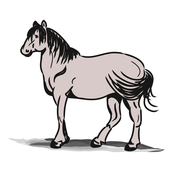 种马简单绘图 — 图库矢量图片
