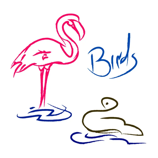 Personnages d'oiseaux (un flamant rose et un cygne ) — Image vectorielle