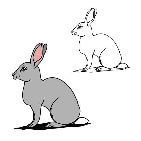 Gri tavşan (kontür) — Stok Vektör