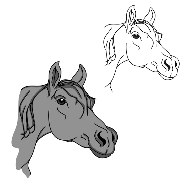 灰色的马的头 — 图库矢量图片