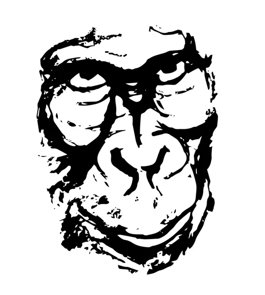 Tête de singe (graphiques ) — Image vectorielle