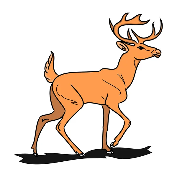 Forest fallow deer 1 — Stock Vector
