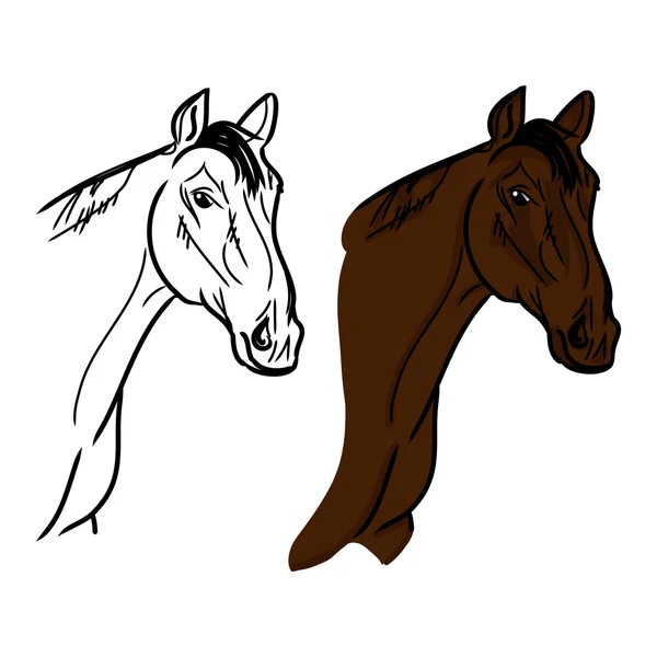 Kepala kuda (garis luar dan warna coklat ) - Stok Vektor