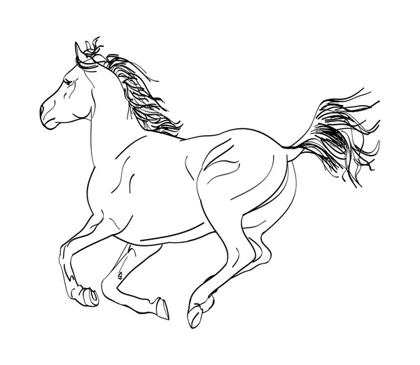 El galope del caballo (esquema ) — Vector de stock