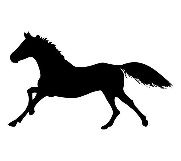 Le galop du cheval (silhouette ) — Image vectorielle