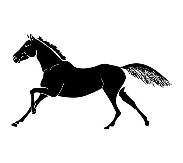 El galope del caballo (mono ) — Vector de stock