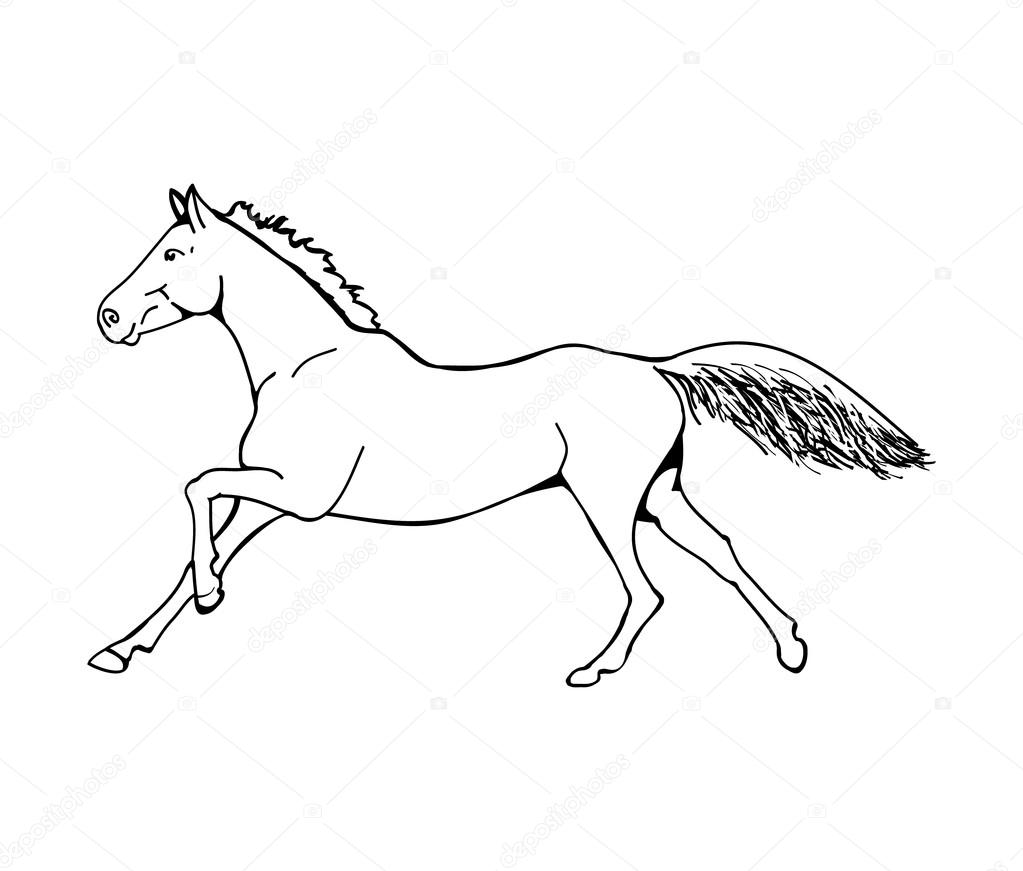 The gallop of the horse (outline) Stock Vector Image by ©Mila_Endo  #106338874