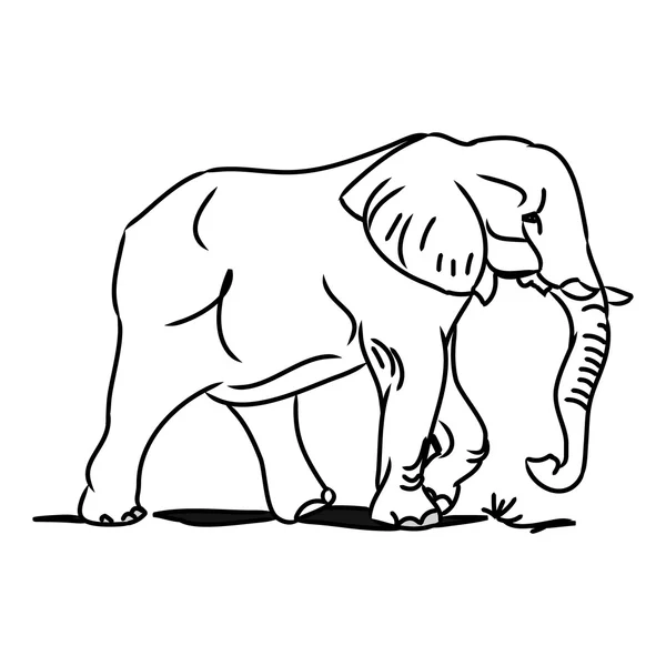 Elefante grande 0 (circuito) 0 — Archivo Imágenes Vectoriales