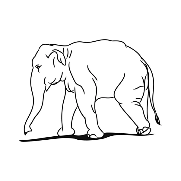 Elefante grande 0 (circuito) 1 — Archivo Imágenes Vectoriales