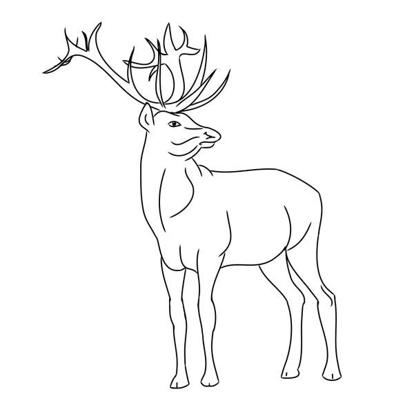 Deer - a resident of the forest — Stock Vector